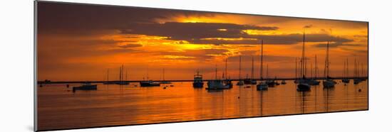 Silhouette of boats in Atlantic ocean at dusk, Rockland Harbor, Rockland, Knox County, Maine, USA-null-Mounted Photographic Print