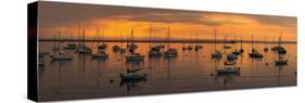 Silhouette of boats in Atlantic ocean at dusk, Rockland Harbor, Rockland, Knox County, Maine, USA-null-Stretched Canvas