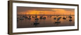 Silhouette of boats in Atlantic ocean at dusk, Rockland Harbor, Rockland, Knox County, Maine, USA-null-Framed Photographic Print