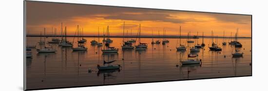 Silhouette of boats in Atlantic ocean at dusk, Rockland Harbor, Rockland, Knox County, Maine, USA-null-Mounted Photographic Print