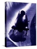 Silhouette of Bobsled in Action, Park City, Utah, USA-Chris Trotman-Stretched Canvas