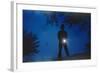 Silhouette of Boy Holding Flashlight-William P. Gottlieb-Framed Photographic Print