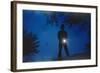 Silhouette of Boy Holding Flashlight-William P. Gottlieb-Framed Photographic Print