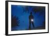 Silhouette of Boy Holding Flashlight-William P. Gottlieb-Framed Photographic Print