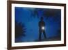 Silhouette of Boy Holding Flashlight-William P. Gottlieb-Framed Photographic Print