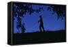 Silhouette of Boy Walking-William P. Gottlieb-Framed Stretched Canvas