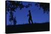 Silhouette of Boy Walking-William P. Gottlieb-Stretched Canvas