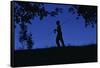 Silhouette of Boy Walking-William P. Gottlieb-Framed Stretched Canvas