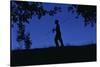 Silhouette of Boy Walking-William P. Gottlieb-Stretched Canvas