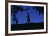 Silhouette of Boy Walking-William P. Gottlieb-Framed Photographic Print