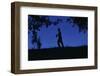 Silhouette of Boy Walking-William P. Gottlieb-Framed Photographic Print