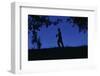 Silhouette of Boy Walking-William P. Gottlieb-Framed Photographic Print