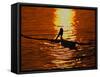 Silhouette of Brown Pelican Taking Flight, Bolsa Chica Lagoon, California, USA-Arthur Morris-Framed Stretched Canvas