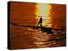 Silhouette of Brown Pelican Taking Flight, Bolsa Chica Lagoon, California, USA-Arthur Morris-Stretched Canvas