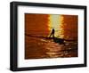 Silhouette of Brown Pelican Taking Flight, Bolsa Chica Lagoon, California, USA-Arthur Morris-Framed Photographic Print