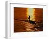 Silhouette of Brown Pelican Taking Flight, Bolsa Chica Lagoon, California, USA-Arthur Morris-Framed Photographic Print