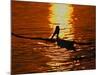 Silhouette of Brown Pelican Taking Flight, Bolsa Chica Lagoon, California, USA-Arthur Morris-Mounted Photographic Print