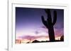 Silhouette of Cactus, Sonoran Desert, Organ Pipe Cactus National Park, Arizona, USA-Massimo Borchi-Framed Photographic Print