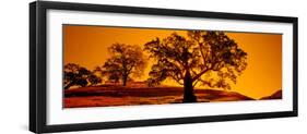 Silhouette of California Oaks Trees, Central Coast, California, USA-null-Framed Premium Photographic Print