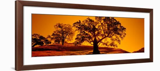 Silhouette of California Oaks Trees, Central Coast, California, USA-null-Framed Photographic Print