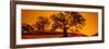 Silhouette of California Oaks Trees, Central Coast, California, USA-null-Framed Photographic Print