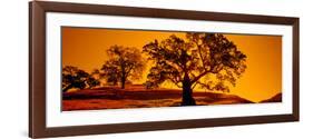 Silhouette of California Oaks Trees, Central Coast, California, USA-null-Framed Photographic Print