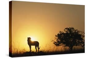 Silhouette of Cheetah and Tree-Paul Souders-Stretched Canvas