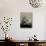 Silhouette of Cow Parsley-David Ridley-Stretched Canvas displayed on a wall