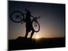 Silhouette of Cyclistist at Sunrise, Boulder, Colorado, USA-null-Mounted Photographic Print