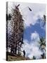Silhouette of Diver, Land Diving, Pentecost Island, Vanuatu, Pacific Islands, Pacific-Upperhall Ltd-Stretched Canvas