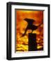 Silhouette of Double Crested Cormorant on Pile at Sunset, Jamaica Bay Wildlife Refuge, New York-Arthur Morris-Framed Premium Photographic Print