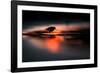 Silhouette of Dunlin in the last rays of setting sun, Poland-Mateusz Piesiak-Framed Photographic Print