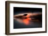 Silhouette of Dunlin in the last rays of setting sun, Poland-Mateusz Piesiak-Framed Photographic Print