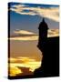 Silhouette of El Morro Fort, San Juan, PR-George Oze-Stretched Canvas