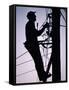 Silhouette of Engineer Working up a Telegraph Pole, East Sussex, England, United Kingdom-Ruth Tomlinson-Framed Stretched Canvas