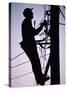 Silhouette of Engineer Working up a Telegraph Pole, East Sussex, England, United Kingdom-Ruth Tomlinson-Stretched Canvas