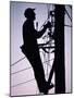 Silhouette of Engineer Working up a Telegraph Pole, East Sussex, England, United Kingdom-Ruth Tomlinson-Mounted Photographic Print