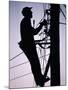 Silhouette of Engineer Working up a Telegraph Pole, East Sussex, England, United Kingdom-Ruth Tomlinson-Mounted Photographic Print