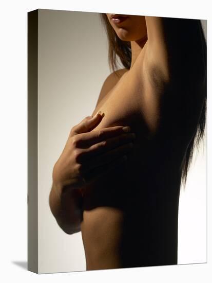 Silhouette of Female Nude-null-Stretched Canvas