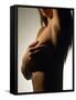 Silhouette of Female Nude-null-Framed Stretched Canvas