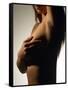Silhouette of Female Nude-null-Framed Stretched Canvas