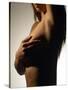 Silhouette of Female Nude-null-Stretched Canvas