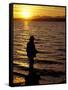 Silhouette of Fisherman at Lincoln Park, Seattle, Washington, USA-William Sutton-Framed Stretched Canvas