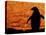 Silhouette of Gentoo Penguin at Sunset, Antarctica-Edwin Giesbers-Stretched Canvas