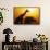 Silhouette of Giraffe at Sunrise-null-Framed Stretched Canvas displayed on a wall