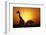 Silhouette of Giraffe at Sunrise-Paul Souders-Framed Photographic Print