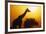 Silhouette of Giraffe at Sunrise-null-Framed Photographic Print