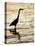 Silhouette of Great Blue Heron in Water at Sunset, Sanibel Fishing Pier, Sanibel, Florida, USA-Arthur Morris.-Stretched Canvas