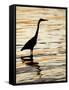 Silhouette of Great Blue Heron in Water at Sunset, Sanibel Fishing Pier, Sanibel, Florida, USA-Arthur Morris.-Framed Stretched Canvas