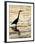 Silhouette of Great Blue Heron in Water at Sunset, Sanibel Fishing Pier, Sanibel, Florida, USA-Arthur Morris.-Framed Photographic Print